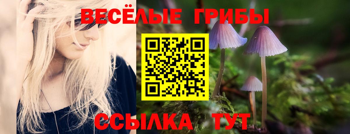 Дивногорск  Псилоцибиновые грибы MAGIC MUSHROOMS  Вход с VPN 